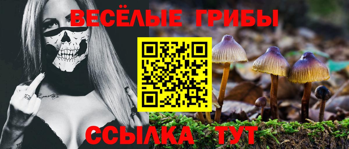 Псилоцибиновые грибы MAGIC MUSHROOMS Бирск