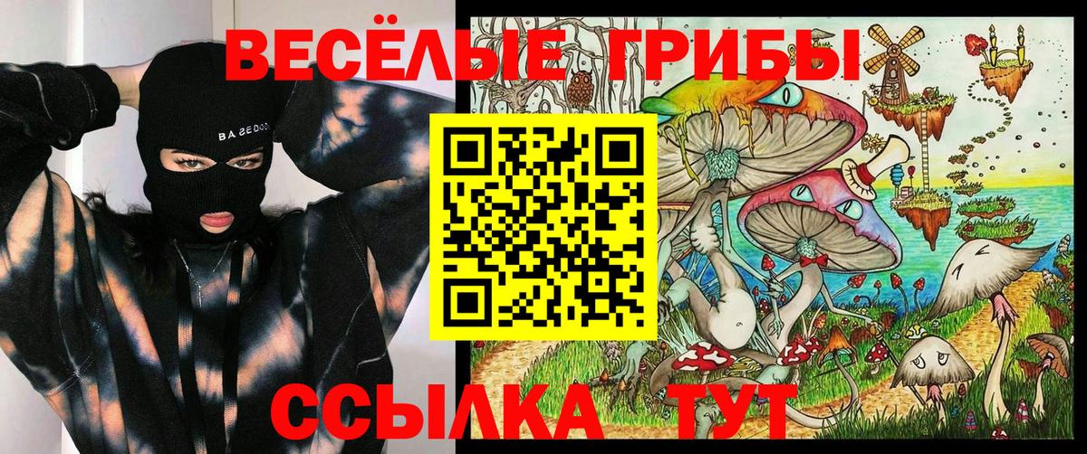 Псилоцибиновые грибы Magic Shrooms  Вход с VPN  где продают наркотики  Бирск  Галлюциногенные грибы Psilocybe 